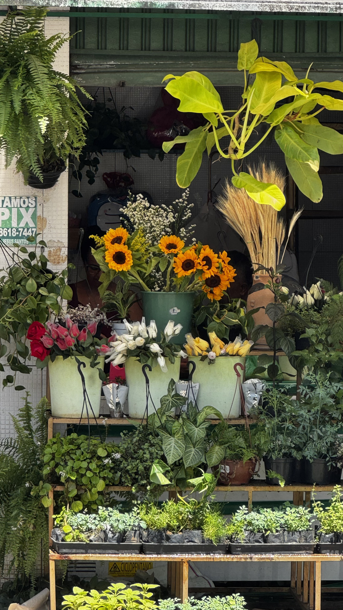 Feira de São Joaquim - Imagem 06